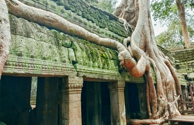 LE SITE D'ANGKOR