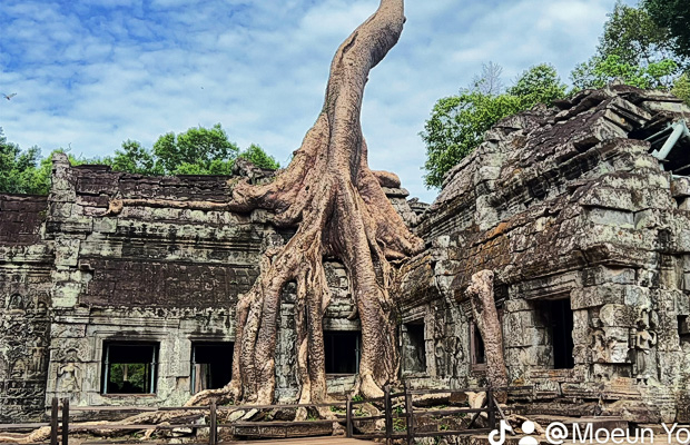 Ta Prohm Temple