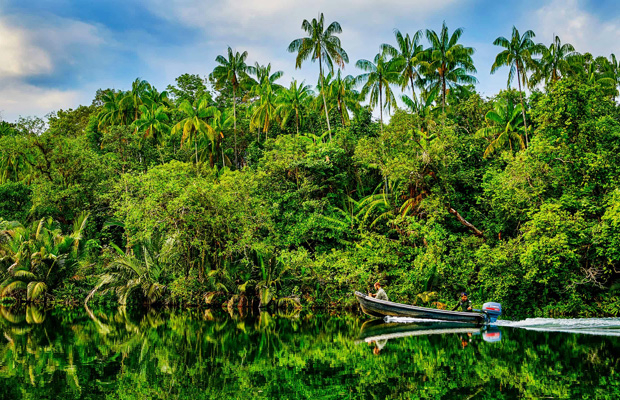 10. REGIONS DES MONTS CARDAMOMES